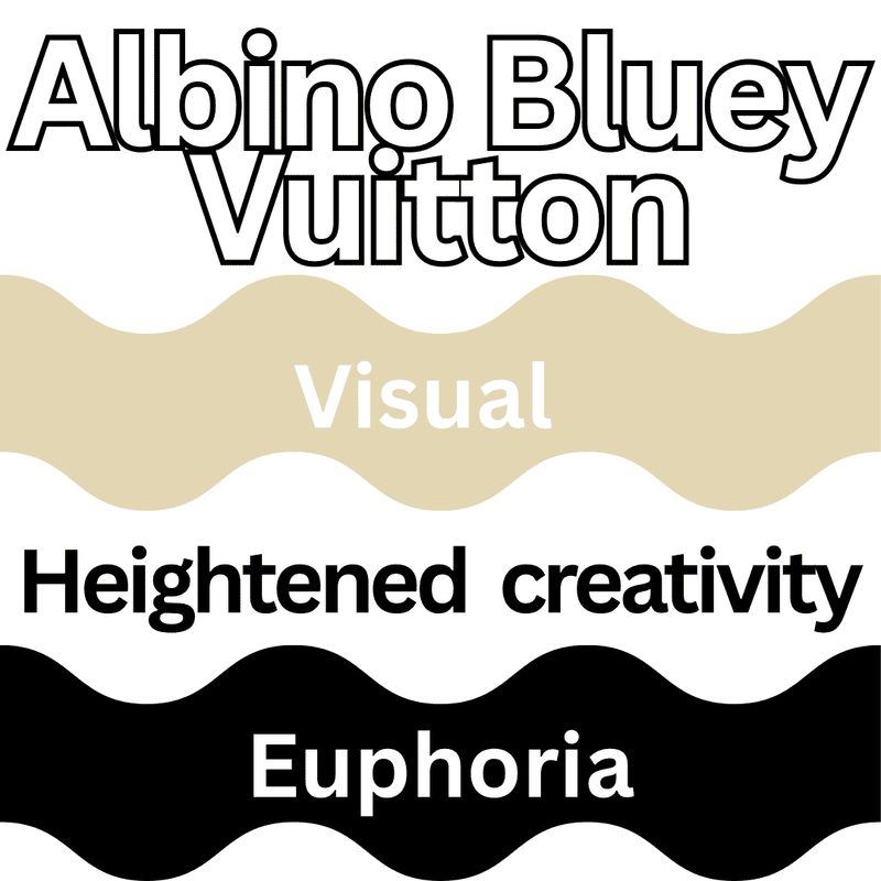 🎁ALBINO BLUEY VUITTON