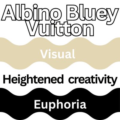 🎁ALBINO BLUEY VUITTON