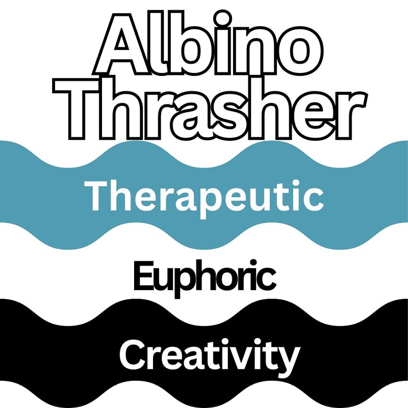 🎁 ALBINO THRASHER (PENIS ENVY)