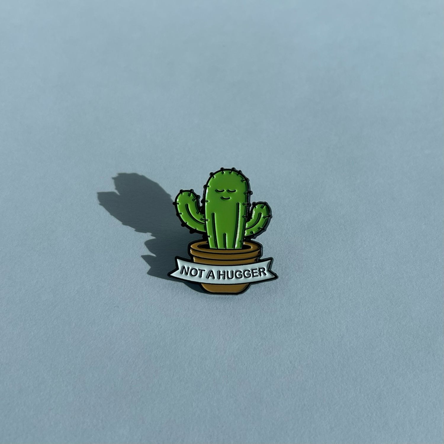 Not a Hugger Pin
