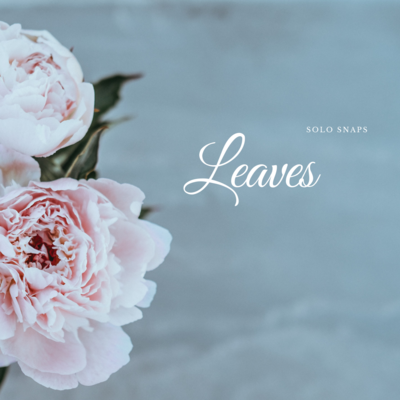 Leaves