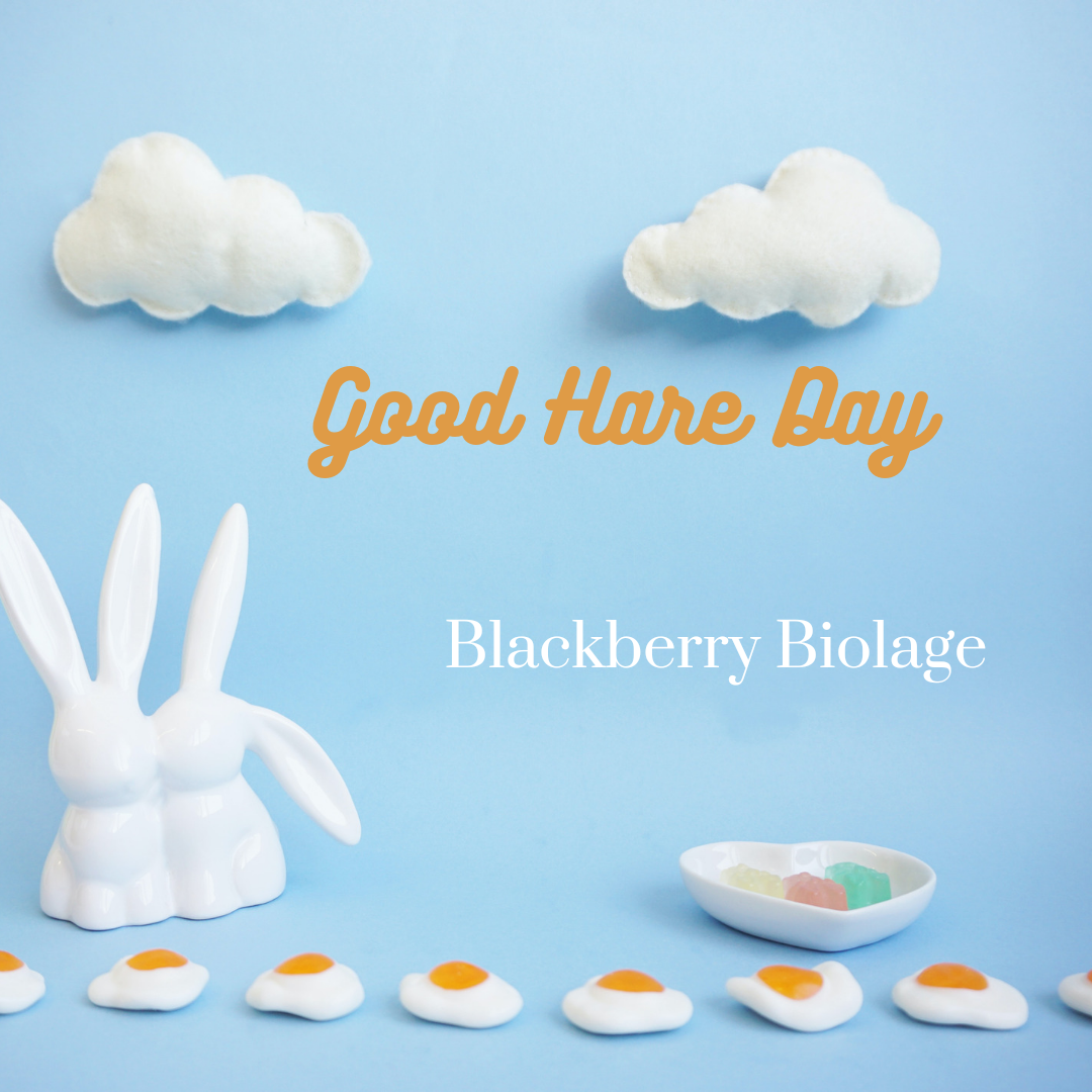 Good Hare Day