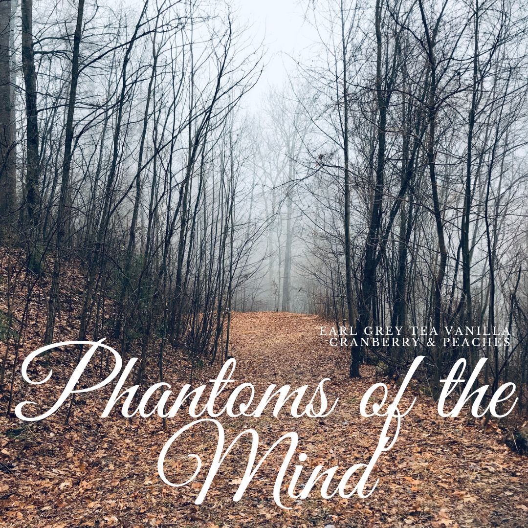 Phantoms of the Mind