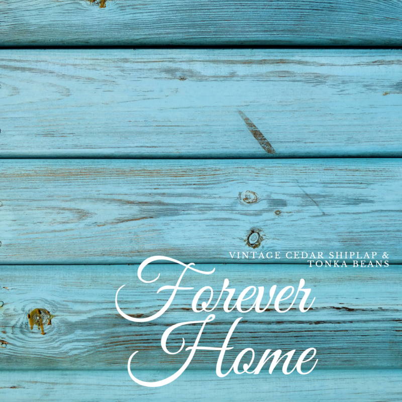 Forever Home