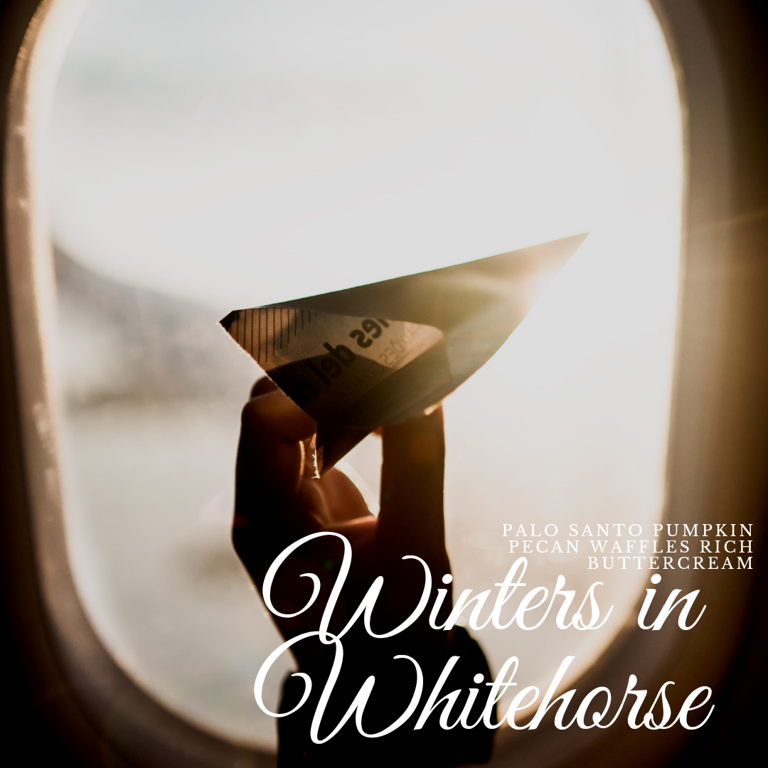 Winter's in Whitehorse