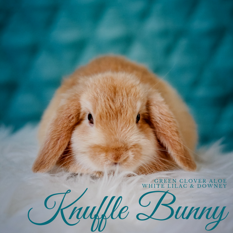 Knuffle Bunny