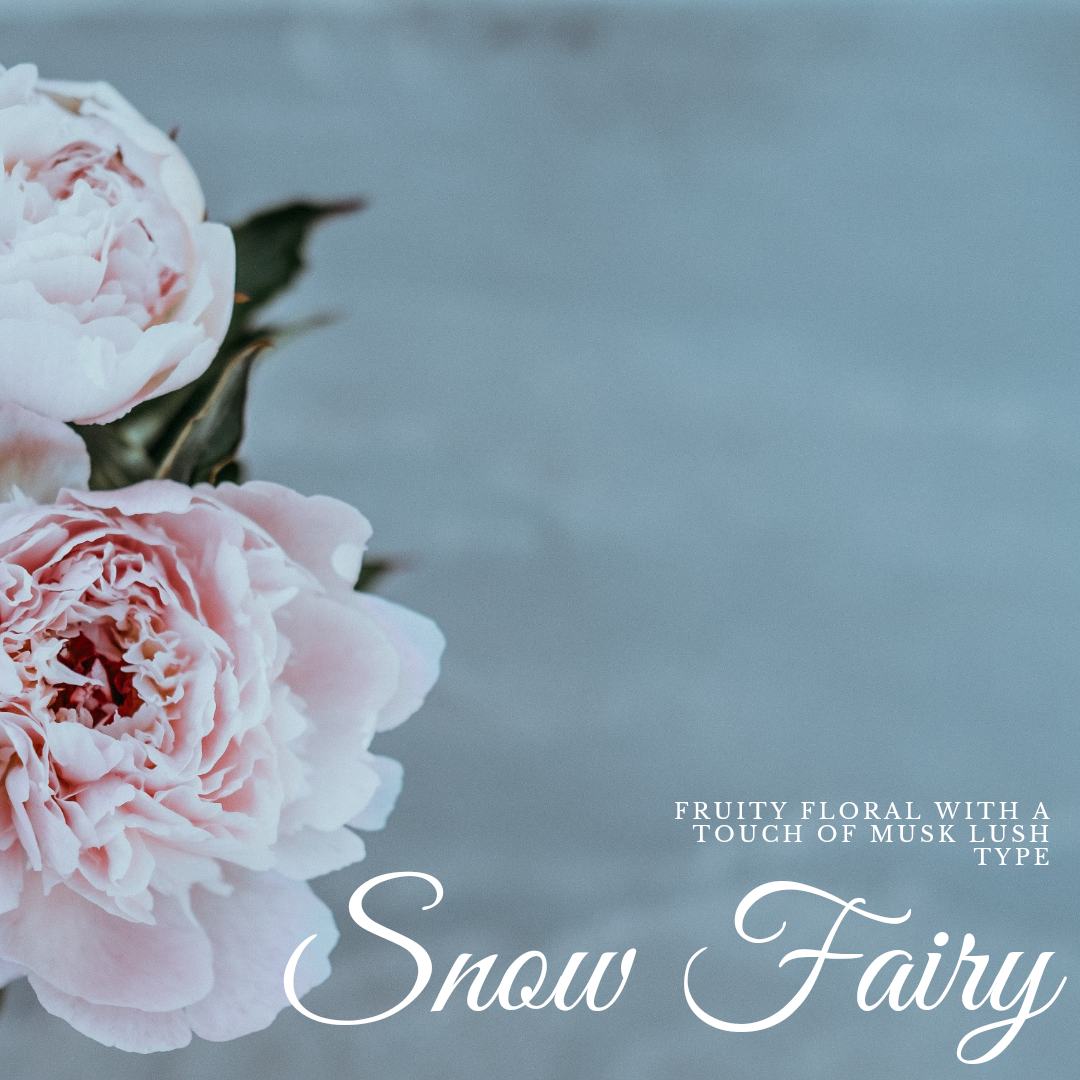 Snow Fairy