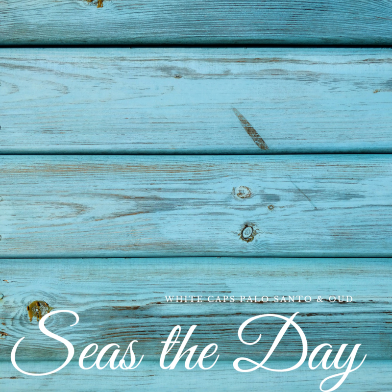 Seas the Day