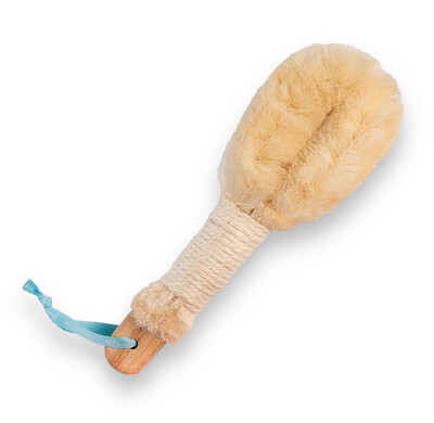 Dry Body Brush with Long Handle