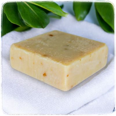 Tropical Greek Yogurt Soap Bar