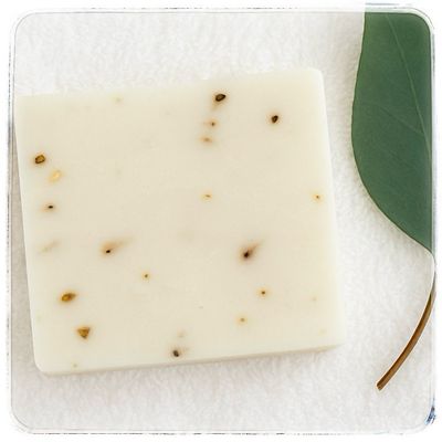 Eucalyptus Aloe Soap Bar