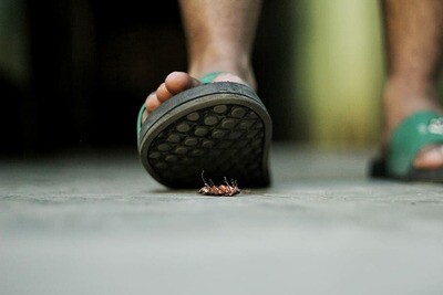 Slides &amp; Sandals