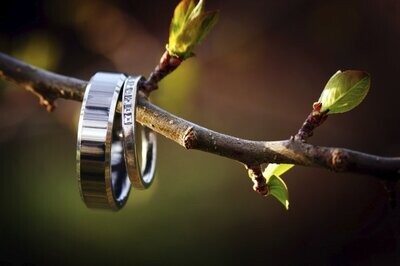 Silber Ringe