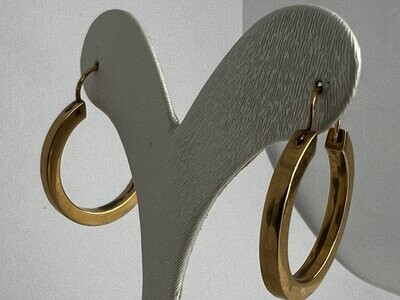 Ohrring