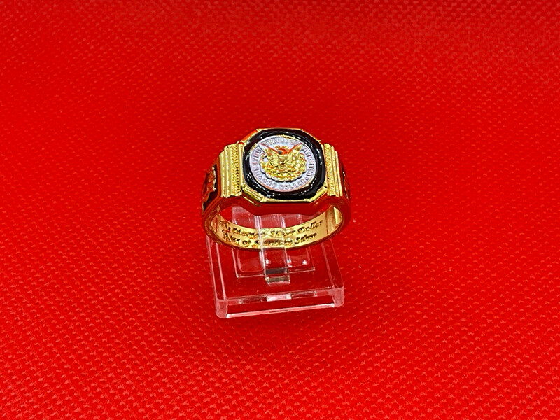 Ring unisex Sthal Nr 65