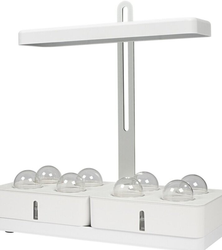 led binnen kweek tuin