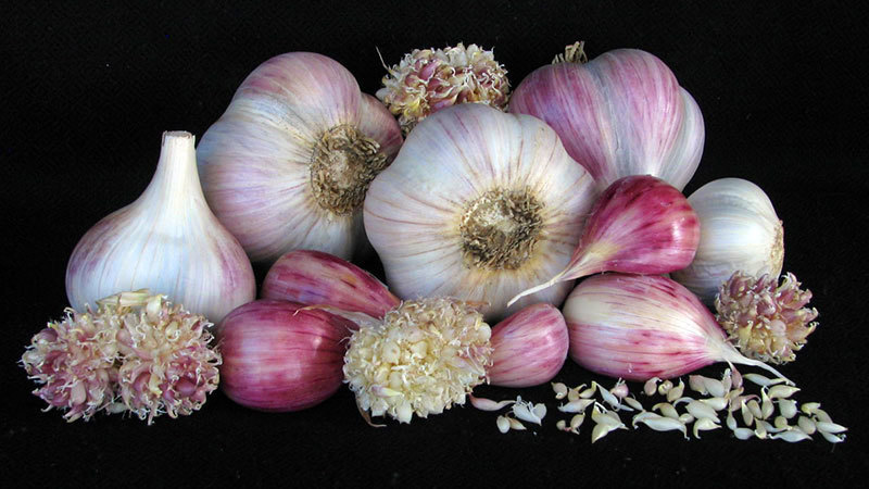 Rasa Blanca - Umbels