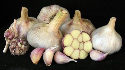 Artichoke