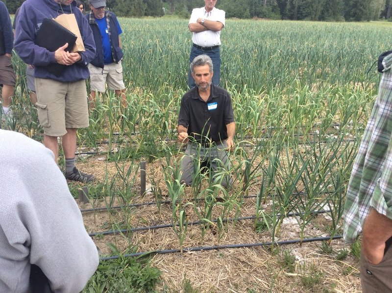 Growing Garlic Successfully & Profitably: 1-Day Seminar Growing Garlic Successfully & Profitably: 1-Day Seminar