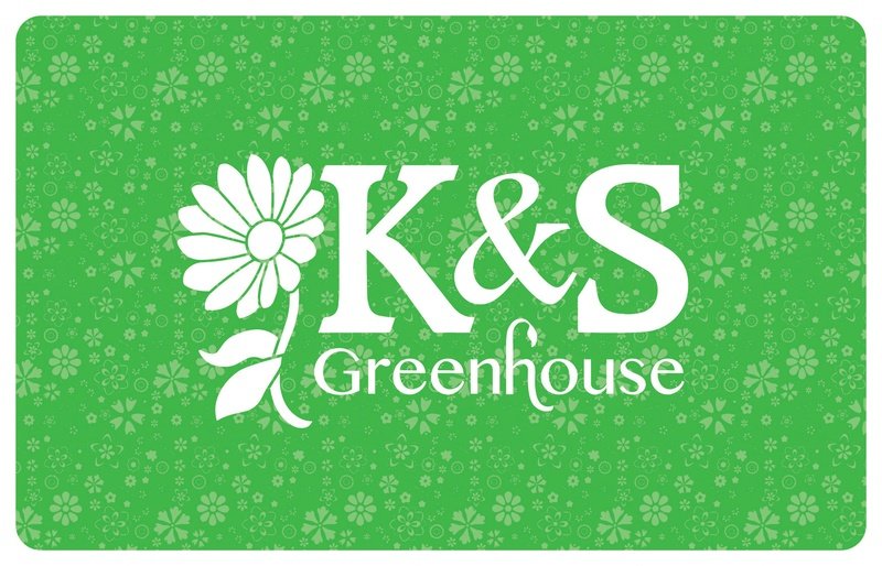 $50 Gift Certificate