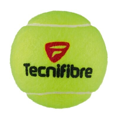 TECNIFIBRE X-ONE Tennisbälle
