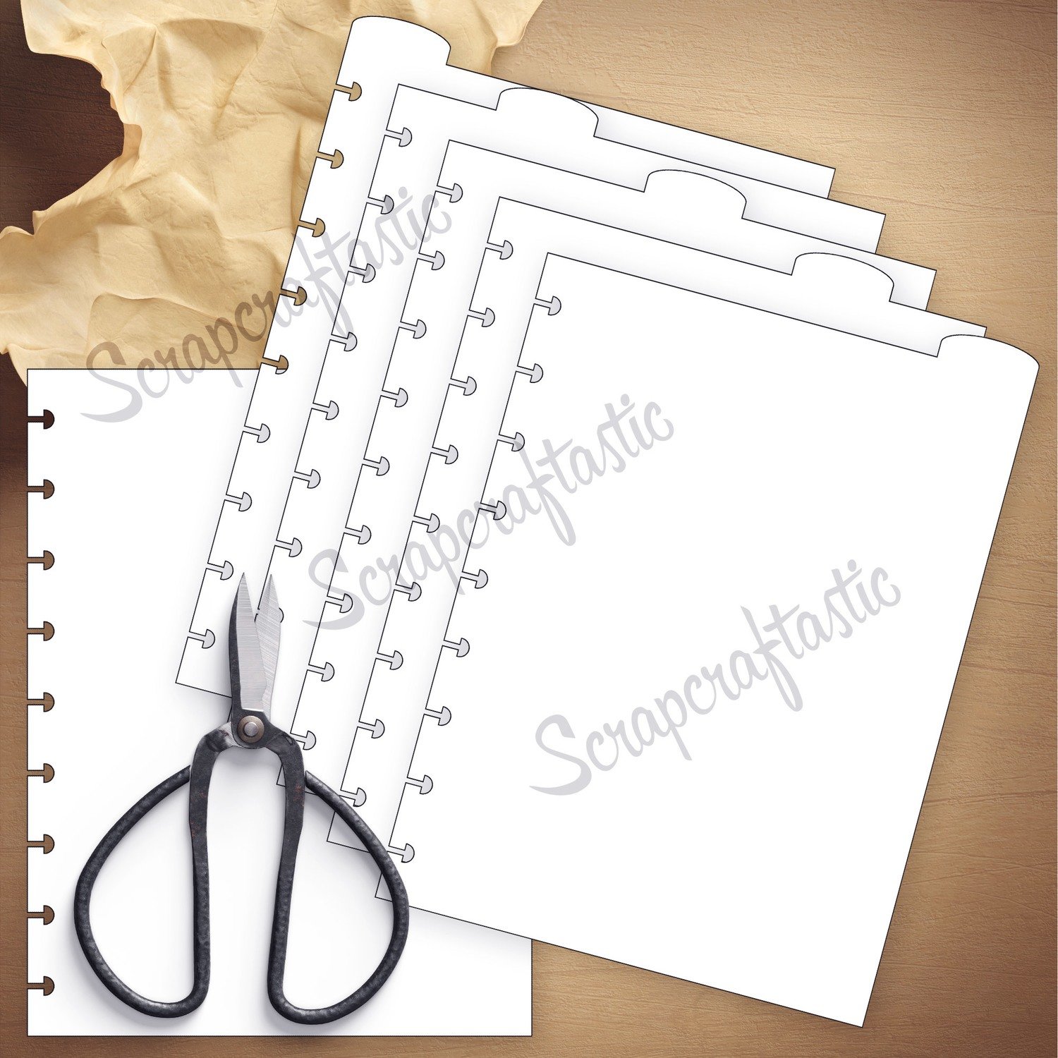 CLASSIC DISC - 5 Rounded Top Tab Divider Printable Templates and Cut Files