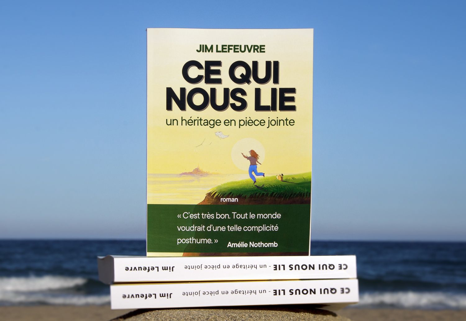 Roman - Ce qui nous lie, un héritage en pièce jointe