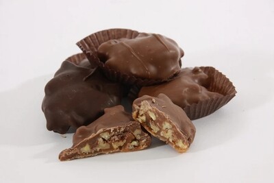 Assorted Turtle cut in half
