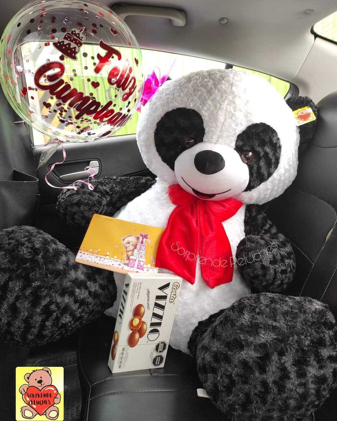 Oso panda Especial