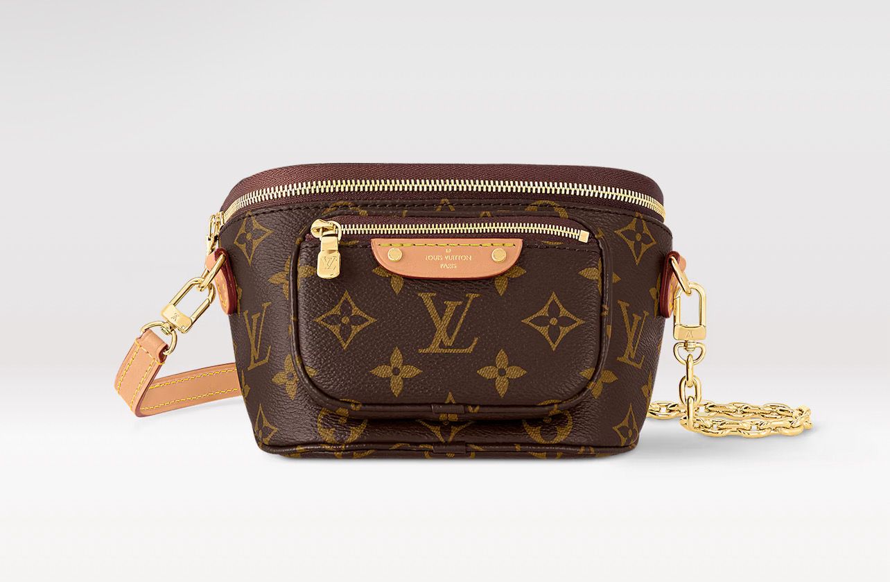 LV Mini Bum Bag