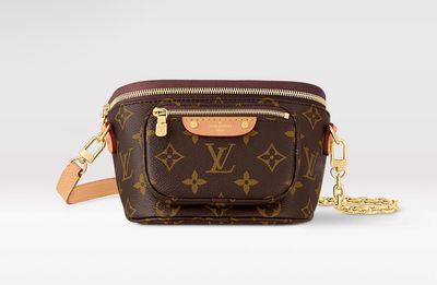 LV Mini Bum Bag