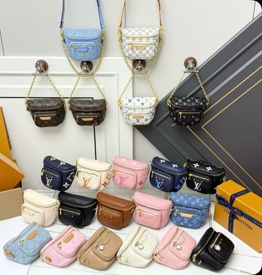 LV New Mini Bum Bag