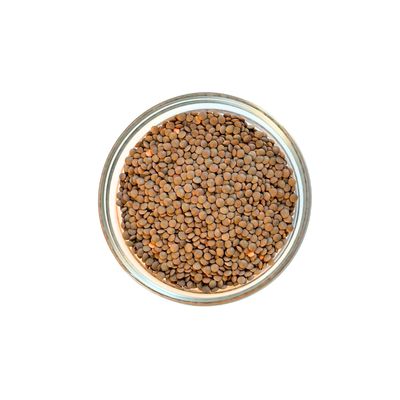 Lentil - Brown
