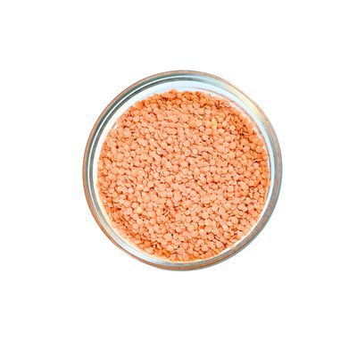 Lentil - Red