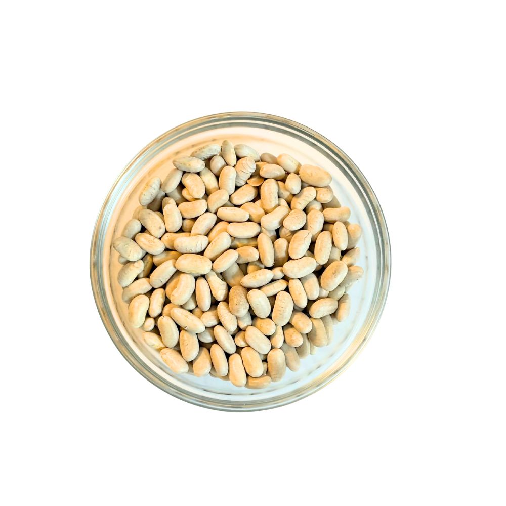Bean - Cannellini (White Kidney)