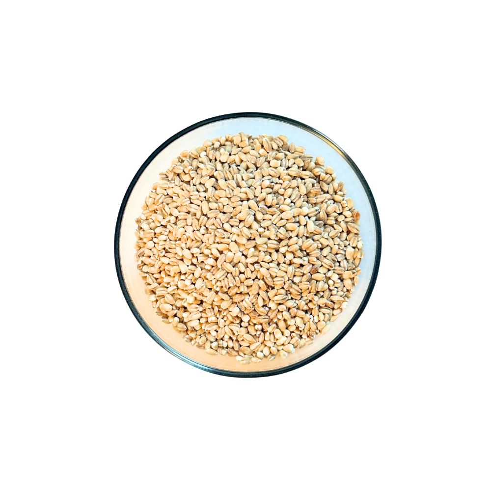 Barley - Pearled