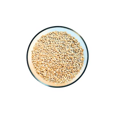 Barley - Pearled