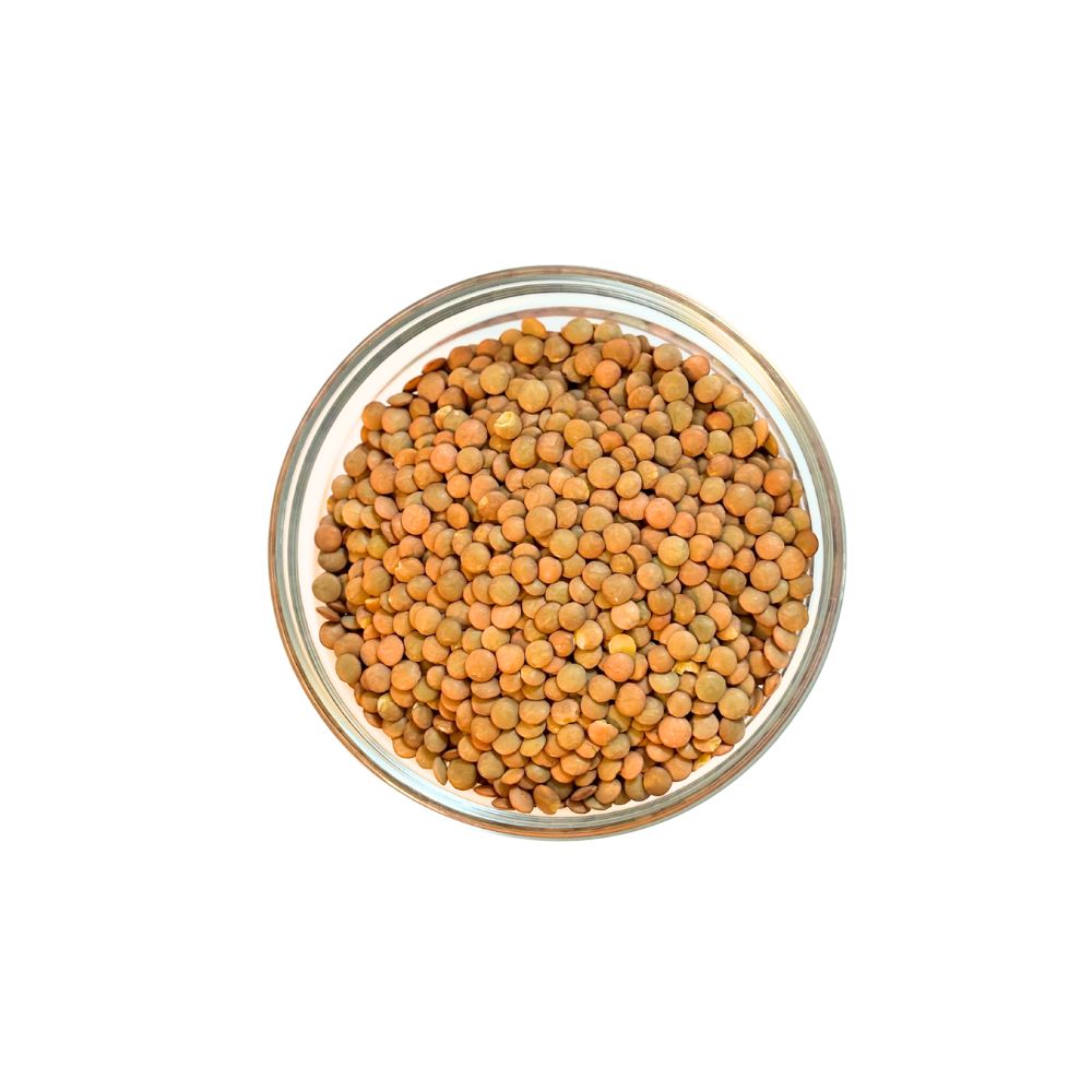 Lentil - Green