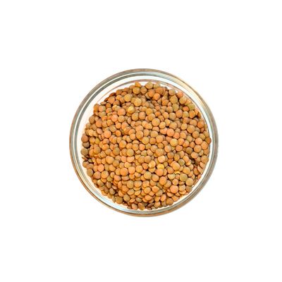 Lentil - Green