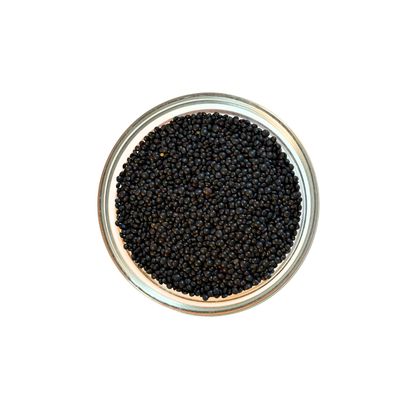 Lentil - Black