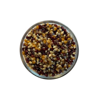 Popcorn - Multicolor