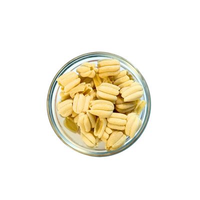 Zucca