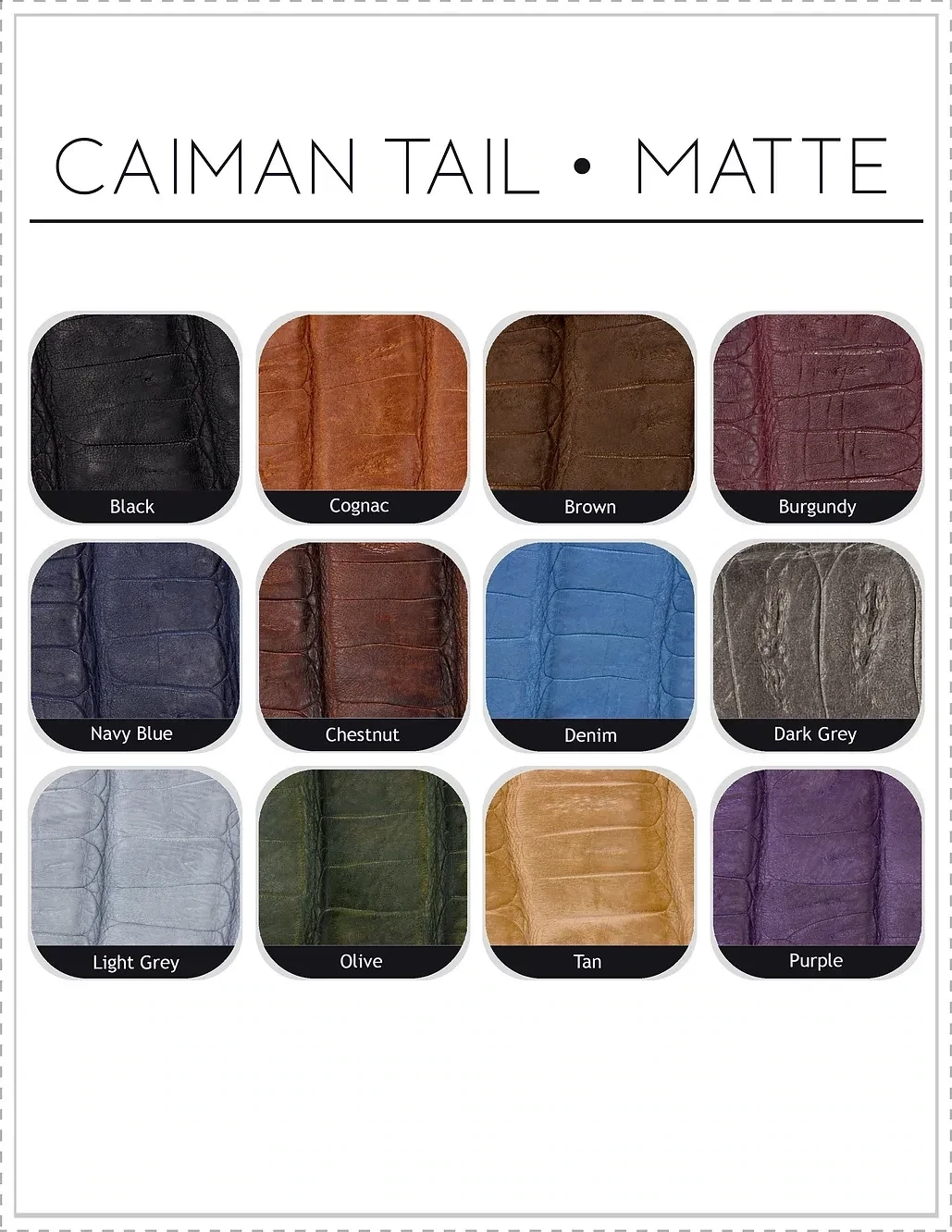 Caiman Crocodile  - CUSTOM MADE