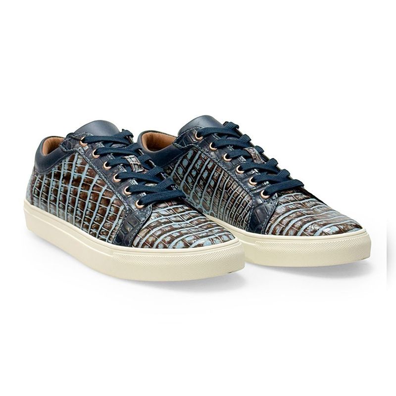 AÑEL CAIMAN ARCM-002