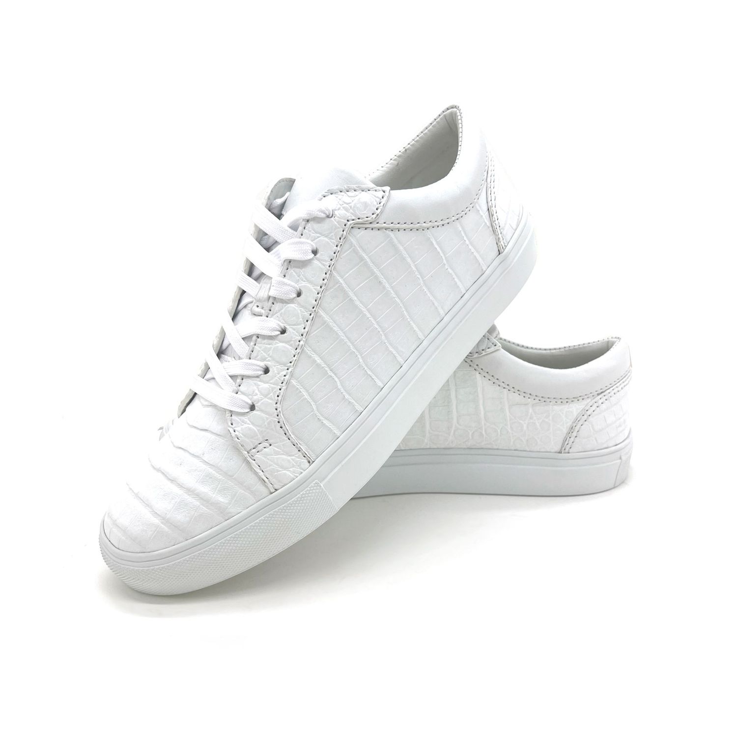 AÑEL CAIMAN ARCM-004