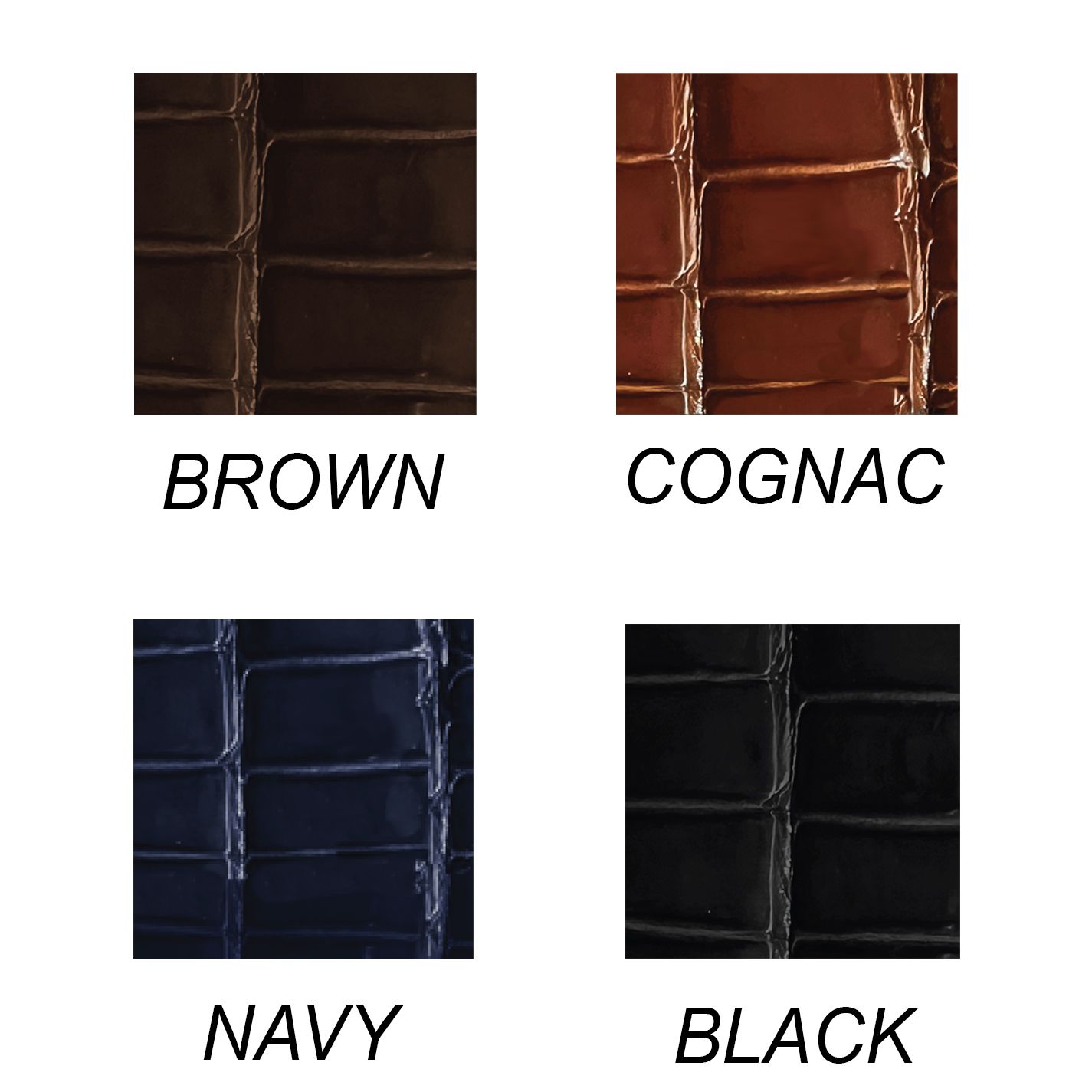 AÑEL AMERICAN ALLIGATOR LOW-TOP CUSTOM MADE