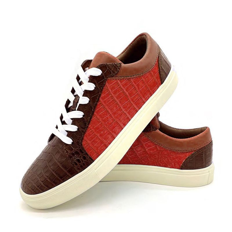 AÑEL CAIMAN ARCM - 0011