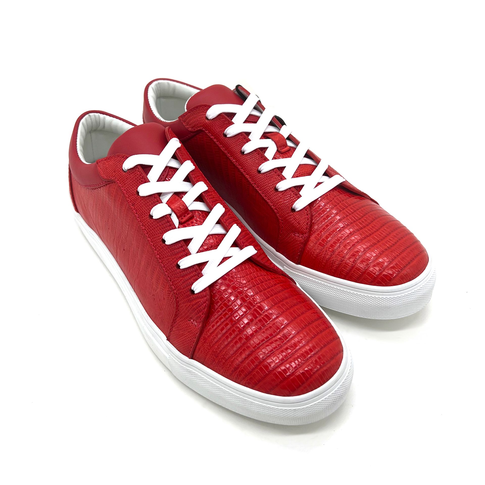 AÑEL LIZARD ALT - 001