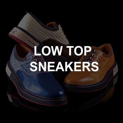 Low Top Sneakers