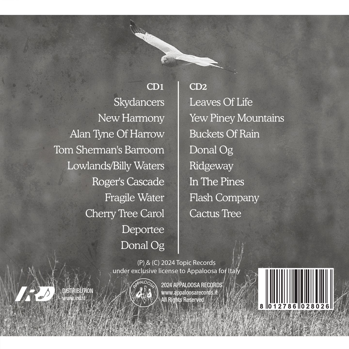 Martin Simpson (2CD) - Skydancers